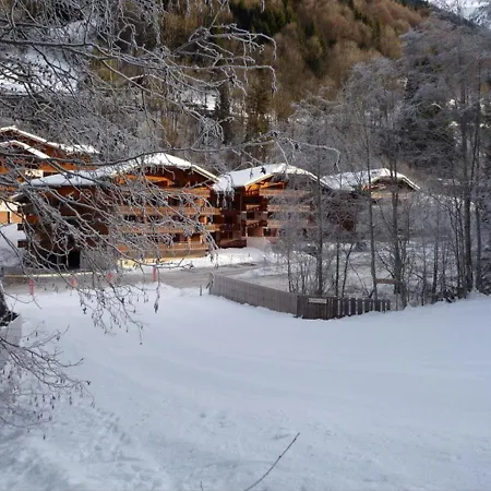 4-6 Pers Au Pied Des Pistes Morzine, Animaux Admis, Parking - Fr-1-754-28 Apartmán