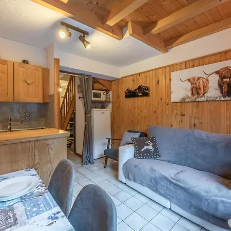 Location Morzine, Au Pied Des Pistes, 4-6 Pers, Balcon, Parking, Petits Animaux Admis - Fr-1-754-28 Apartment *